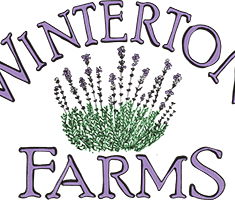 Winterton-Farms-Lavendar-Logo